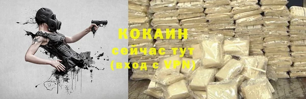 ECSTASY Пересвет