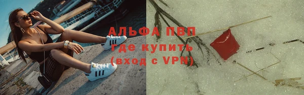 ECSTASY Пересвет