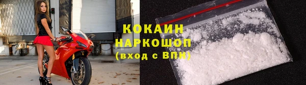 ECSTASY Пересвет