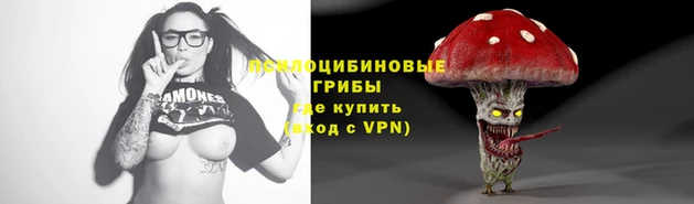 ECSTASY Пересвет