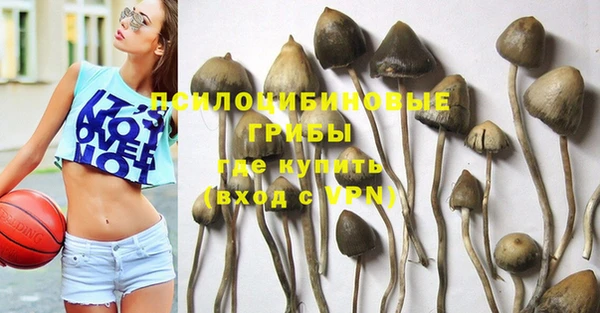 соль ск Киров