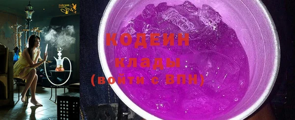 ECSTASY Пересвет